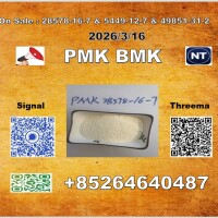 1369021-80-6 New 28578-16-7 PMK BM-K 5449-12-7